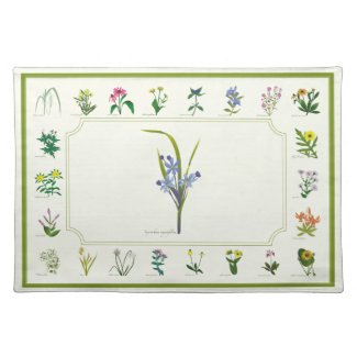 Wildflowers Placemat