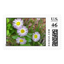 Wildflowers postage