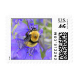 Wildflowers Stamps