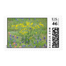Wildflowers Stamps