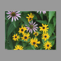 Wildflowers postcards by sharpcreations Wildflowers postcards