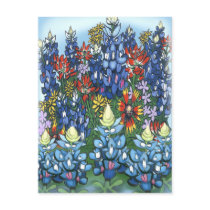 Wildflowers postcards