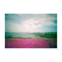 Wildflowers posters by jaquijoy Wildflowers posters