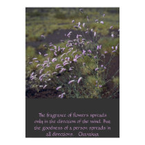wildflowers posters by corvus wildflowers posters