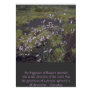 wildflowers