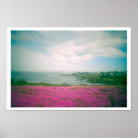 Wildflowers posters