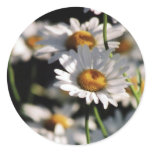 Wildflowers Sticker
