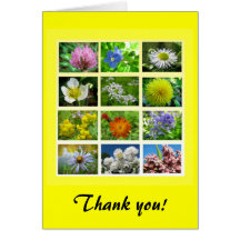 Wildflowers Thank You Greeting Cards