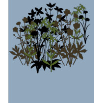 Wildflowers t-shirts