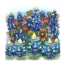 Wildflowers t-shirts