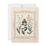 Wildflowers Wedding Anniversary or Birthday Announcements