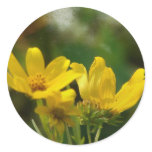 Wildflowers with TTV layer stickers