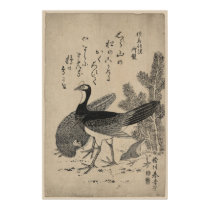 Wildfowl and Pine posters by ZephyrusBooks Wildfowl and Pine posters