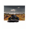 WildHair Motorama t-shirts