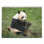 Wildlife 15 Month Calendar