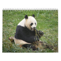 Wildlife 15 Month Calendar