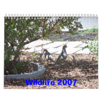 Wildlife 2007 wall calendars