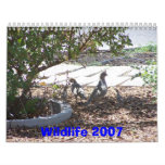 Wildlife 2007 calendars