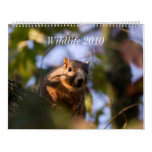 Wildlife 2010 calendar