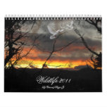 Wildlife 2011 Calendar