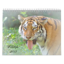 Wildlife 2013 calendars