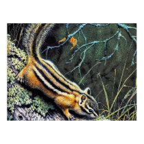 Wildlife 9 posters