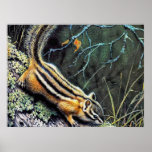 Wildlife 9 posters