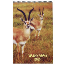 Wildlife Africa calendar 2010 - African safari by Rowood Wildlife Africa calendar 2010 - African safari