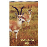Wildlife Africa calendar 2010 - African safari