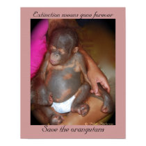 Wildlife Babies: Save the orphans posters by Rebecca_Reeder Wildlife Babies: Save the orphans posters