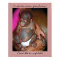 Wildlife Babies: Save the orphans print