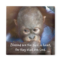 Wildlife baby  Blessed are the pure in heart magnets