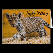 Wildlife Birthday Cards. cards