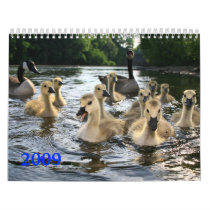 Wildlife Calendar by dennilozza Wildlife Calendar