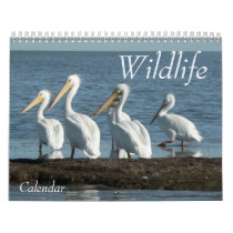Wildlife Calendar 2008. - Customized calendars