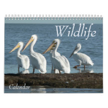 Wildlife Calendar 2008. - Customized