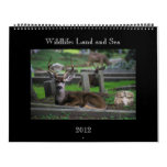 wildlife Calendar - 2012
