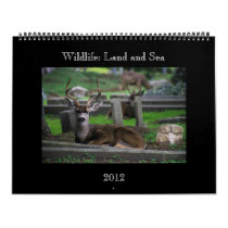 wildlife Calendar - 2012