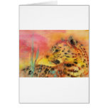Wildlife Cards