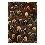 Wildlife Cards Series