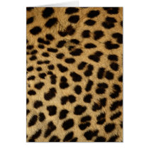 Wildlife Cards Series