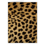 Wildlife Cards Series