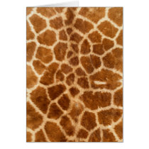 Wildlife Cards Series