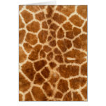Wildlife Cards Series