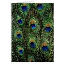 Wildlife Cards Series