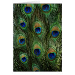 Wildlife Cards Series