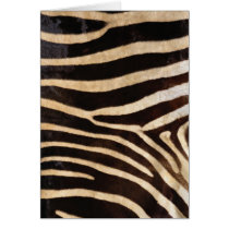 Wildlife Cards Series