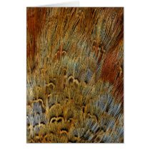 Wildlife Cards Series