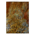 Wildlife Cards Series