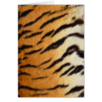 Wildlife Cards Series